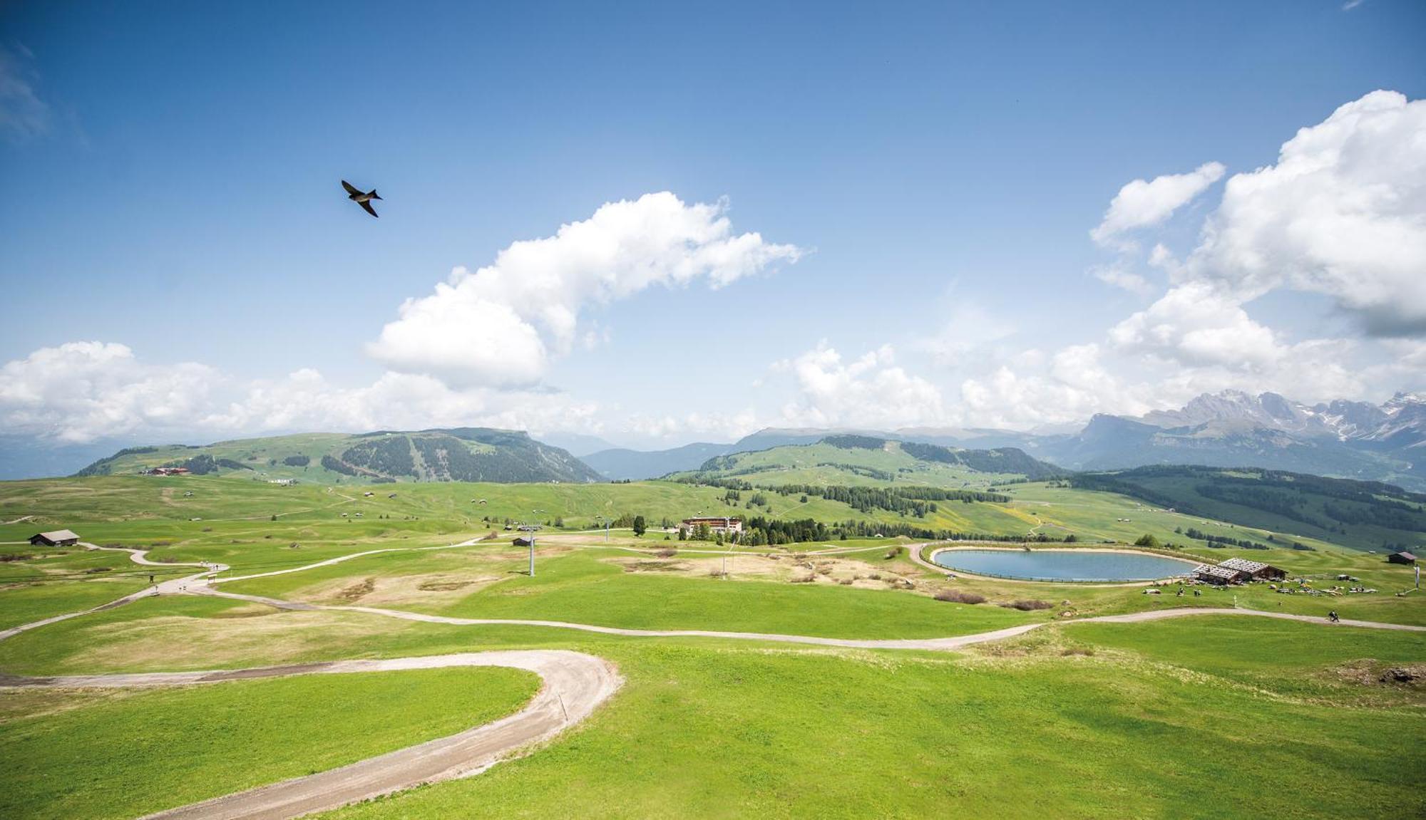 Hotel Goldknopf Alpe Di Siusi Eksteriør bilde