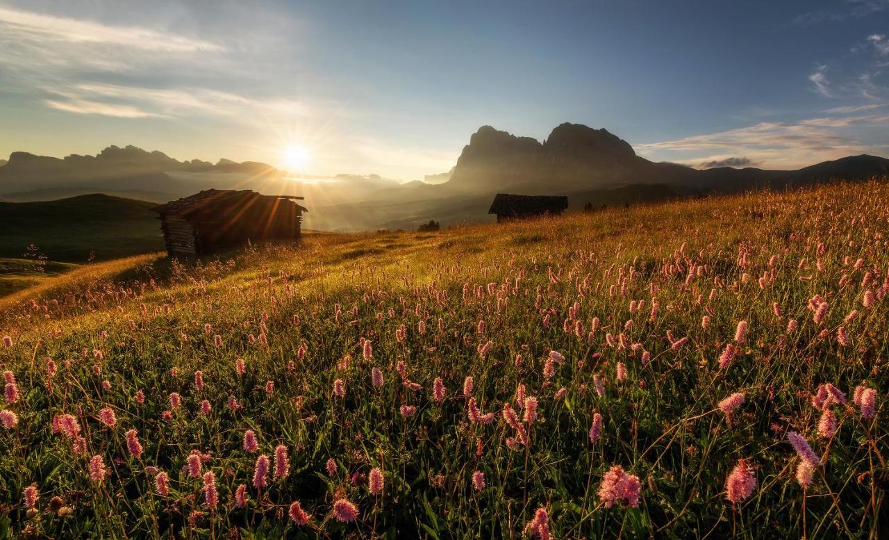 Hotel Goldknopf Alpe Di Siusi Eksteriør bilde
